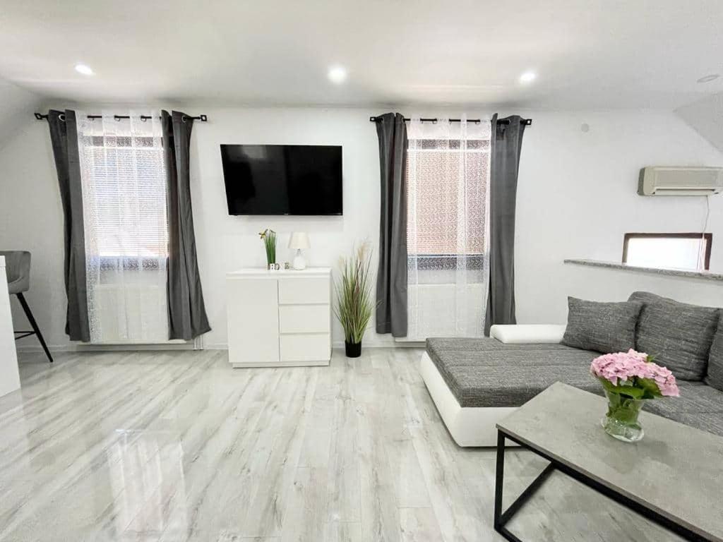 Pavenka Apartment