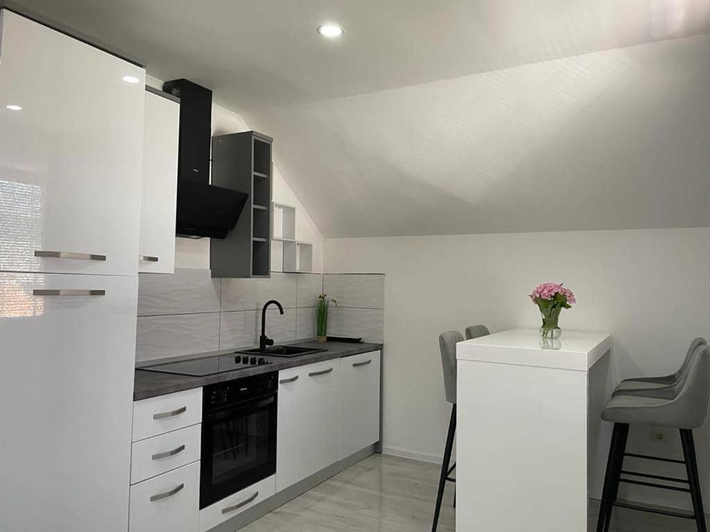 Apartment Pavenka *