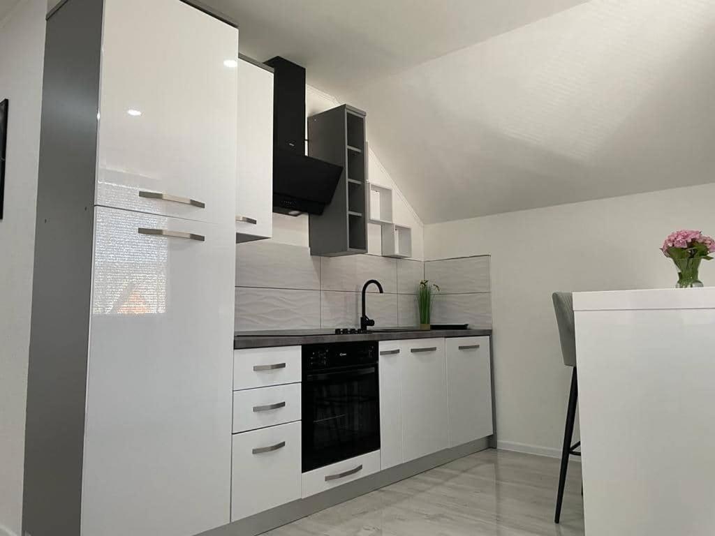 Pavenka Apartment