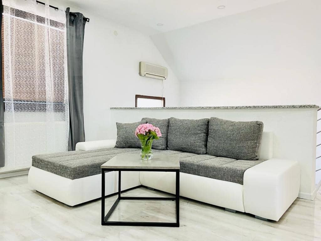 Pavenka Apartment